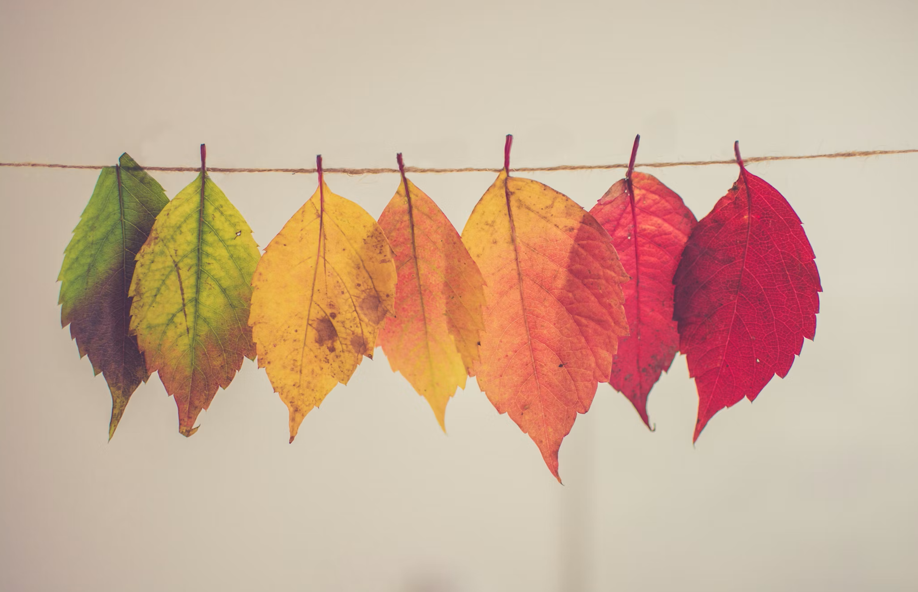 Embracing Change